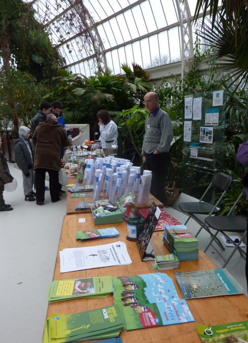 RSPB in Palm House