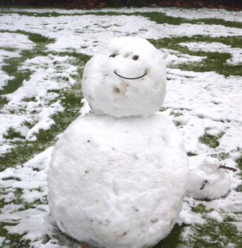 02-sefton-park-snowman.jpg