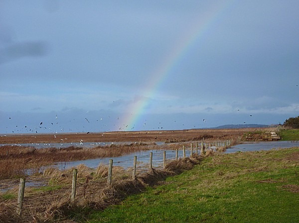 04 Old Quay View with rainbow