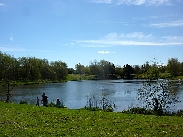 17 Orrell lake view