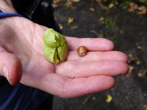 sefton merseyside attracted